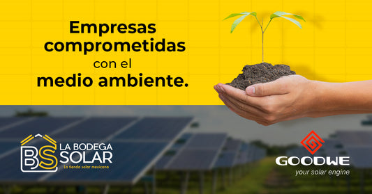 Nuestro compromiso con el Medio Ambiente: La Bodega Solar y GoodWe